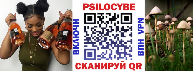 Псилоцибиновые грибы ЛСД  наркошоп  Богучар 